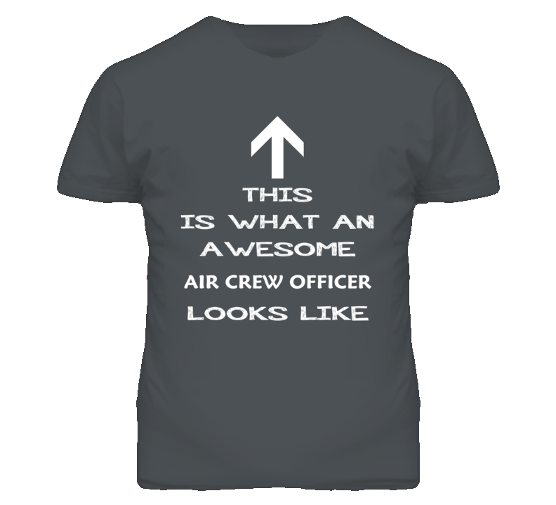 Air Crew Officer Looks Like Arrow Simple T Shirt Air Crew Officer Looks Like Arrow Simple T Shirt