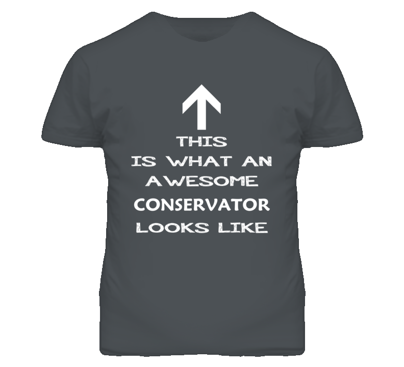 Conservator Looks Like Arrow Simple T Shirt