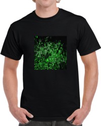 Malachite T Shirt 33886601
