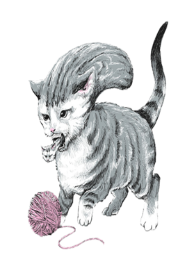 image overlay