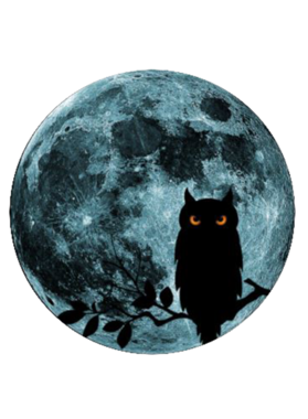 https://d1w8c6s6gmwlek.cloudfront.net/oldshirtybastard.com/overlays/344/639/34463983.png img