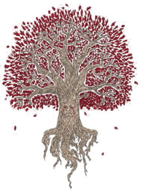 https://d1w8c6s6gmwlek.cloudfront.net/oldshirtybastard.com/overlays/344/640/34464073.png img