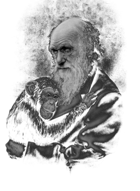 https://d1w8c6s6gmwlek.cloudfront.net/oldshirtybastard.com/overlays/344/720/34472007.png img