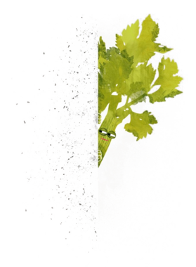 https://d1w8c6s6gmwlek.cloudfront.net/oldshirtybastard.com/overlays/344/725/34472557.png img