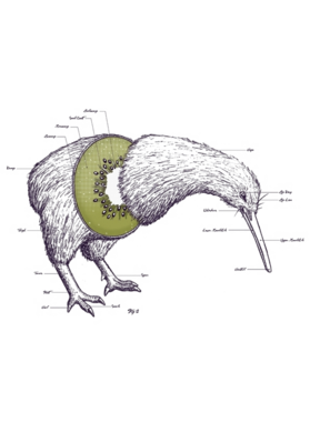 https://d1w8c6s6gmwlek.cloudfront.net/oldshirtybastard.com/overlays/344/735/34473504.png img