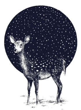 https://d1w8c6s6gmwlek.cloudfront.net/oldshirtybastard.com/overlays/344/775/34477575.png img