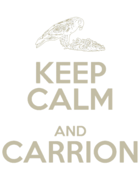 https://d1w8c6s6gmwlek.cloudfront.net/oldshirtybastard.com/overlays/344/948/34494865.png img