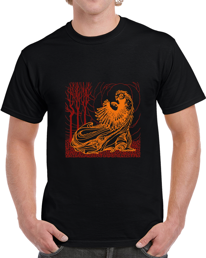 Owl-witch T Shirt