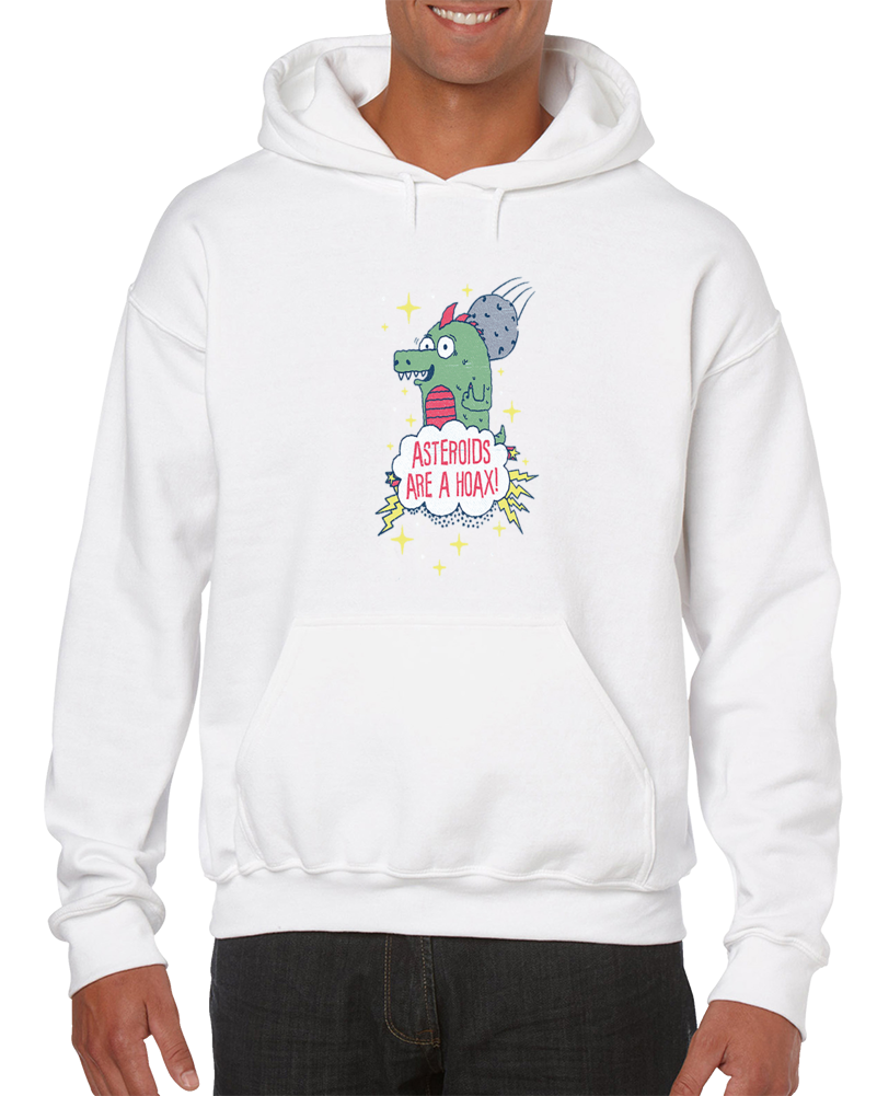 Asteroids Are A Hoax Hoodie