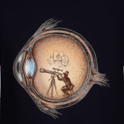 34466054