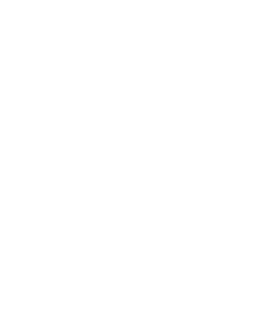 https://d1w8c6s6gmwlek.cloudfront.net/paesanotshirts.com/overlays/390/155/39015507.png img