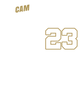 https://d1w8c6s6gmwlek.cloudfront.net/papatshirt.com/overlays/399/181/39918157.png img