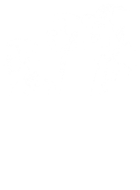 https://d1w8c6s6gmwlek.cloudfront.net/papatshirt.com/overlays/402/495/40249509.png img
