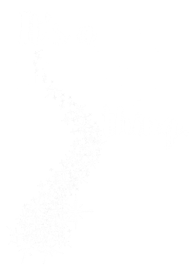 image overlay