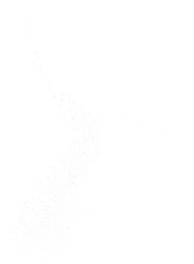 image overlay