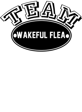 image overlay