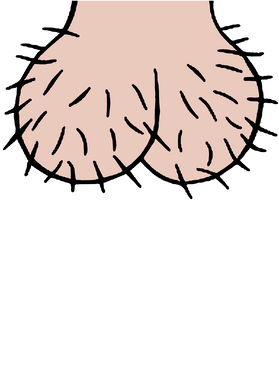 image overlay