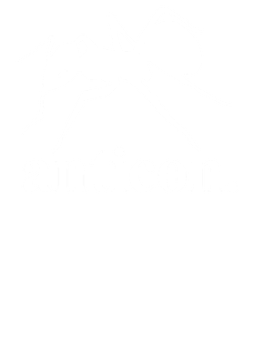 image overlay