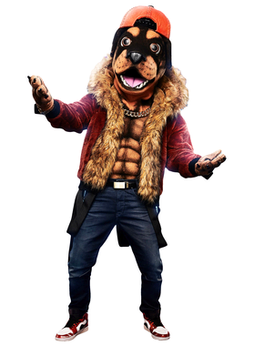 image overlay