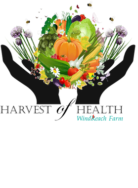 image overlay