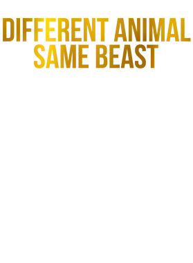 image overlay