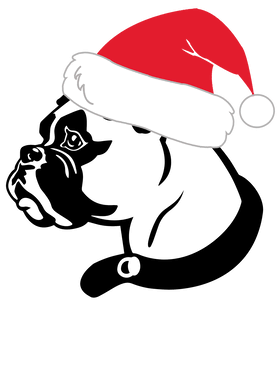 image overlay