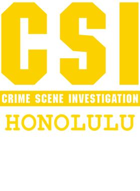 image overlay