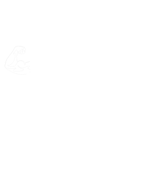 https://d1w8c6s6gmwlek.cloudfront.net/papatshirt.com/overlays/402/743/40274342.png img
