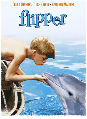 image overlay