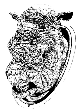 image overlay