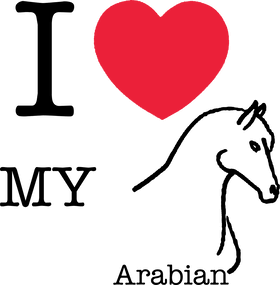 image overlay