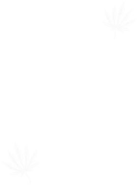 https://d1w8c6s6gmwlek.cloudfront.net/papatshirt.com/overlays/402/768/40276874.png img