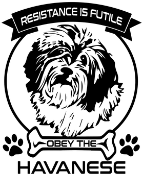 https://d1w8c6s6gmwlek.cloudfront.net/papatshirt.com/overlays/402/780/40278047.png img