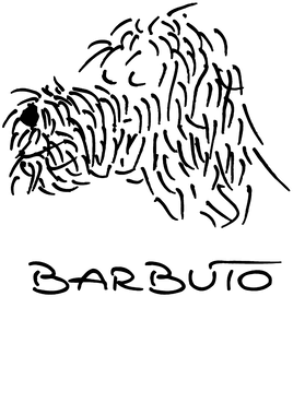image overlay
