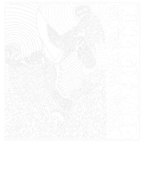 image overlay