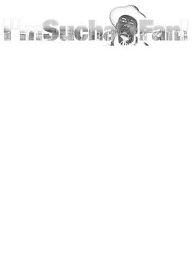 image overlay