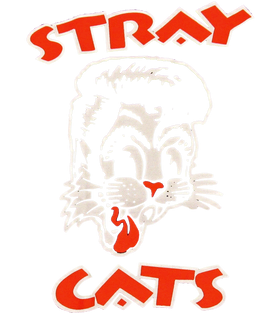 https://d1w8c6s6gmwlek.cloudfront.net/papatshirt.com/overlays/402/931/40293170.png img
