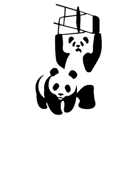 image overlay