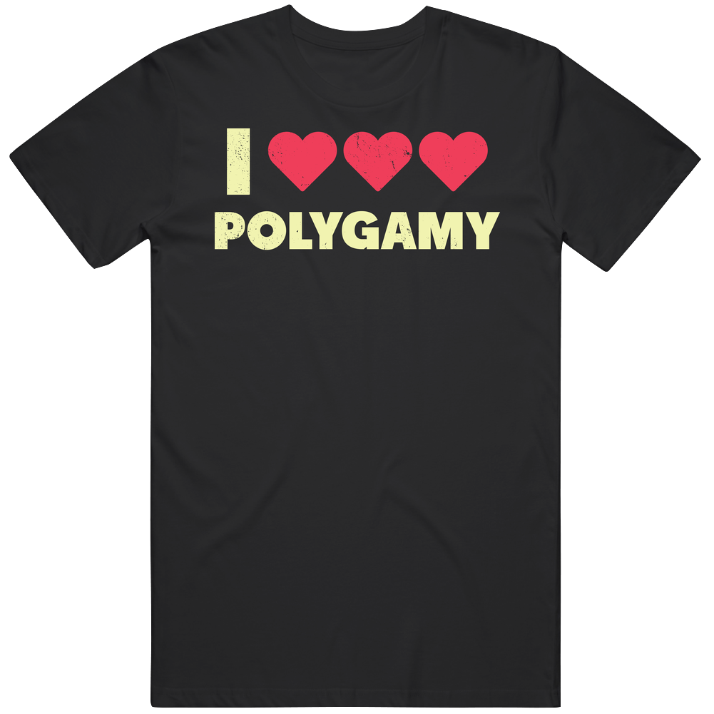 I Heart Polygamy Funny Sharing Love Valentine's Worn Look Mens Cotton Tee T Shirt