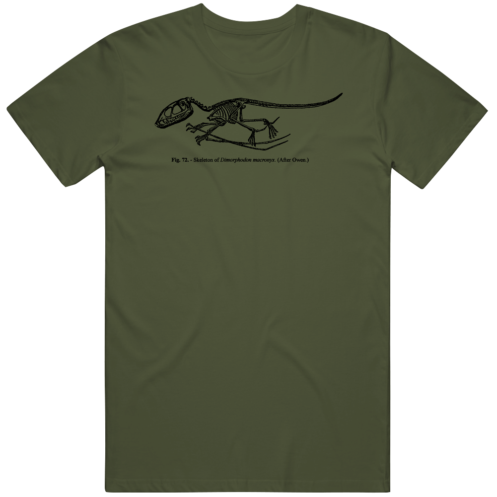 Dimorphodon Dinosaur Old Illustration Mens Cotton Tee T Shirt Dimorphodon Dinosaur Old Illustration Mens Cotton Tee T Shirt