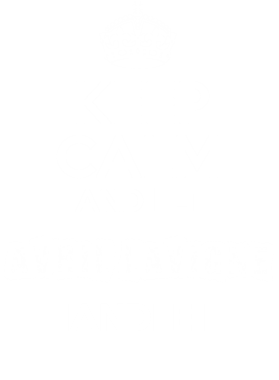 https://d1w8c6s6gmwlek.cloudfront.net/partyhardtees.com/overlays/177/543/17754350.png img