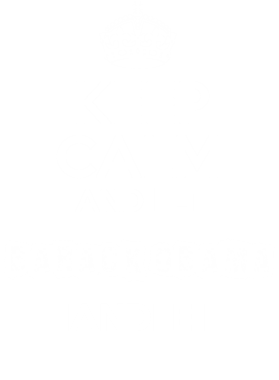 image overlay