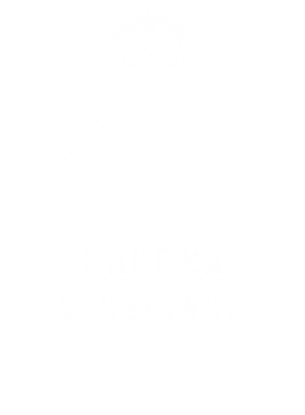image overlay