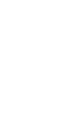 image overlay