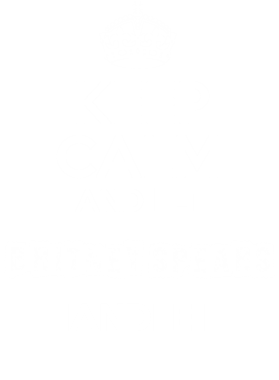 image overlay