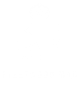 image overlay