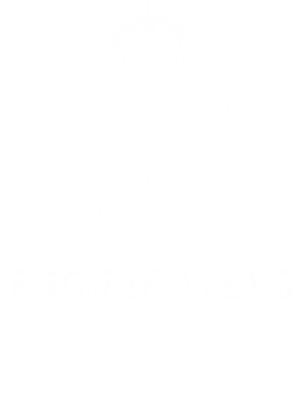 image overlay