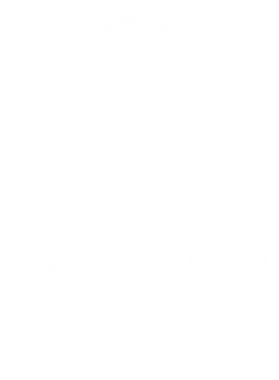 image overlay