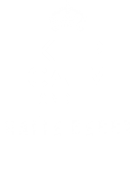 image overlay