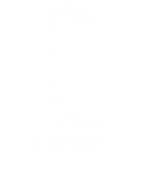 https://d1w8c6s6gmwlek.cloudfront.net/partyhardtees.com/overlays/177/557/17755787.png img